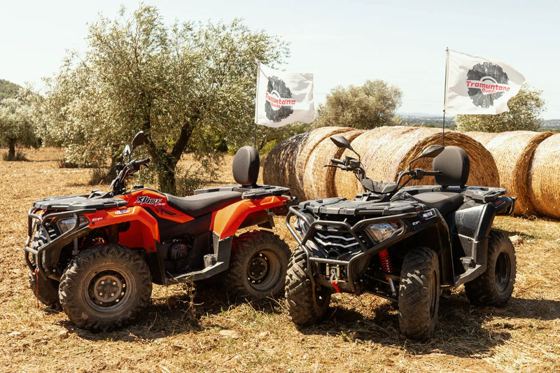 Quad per les rutes