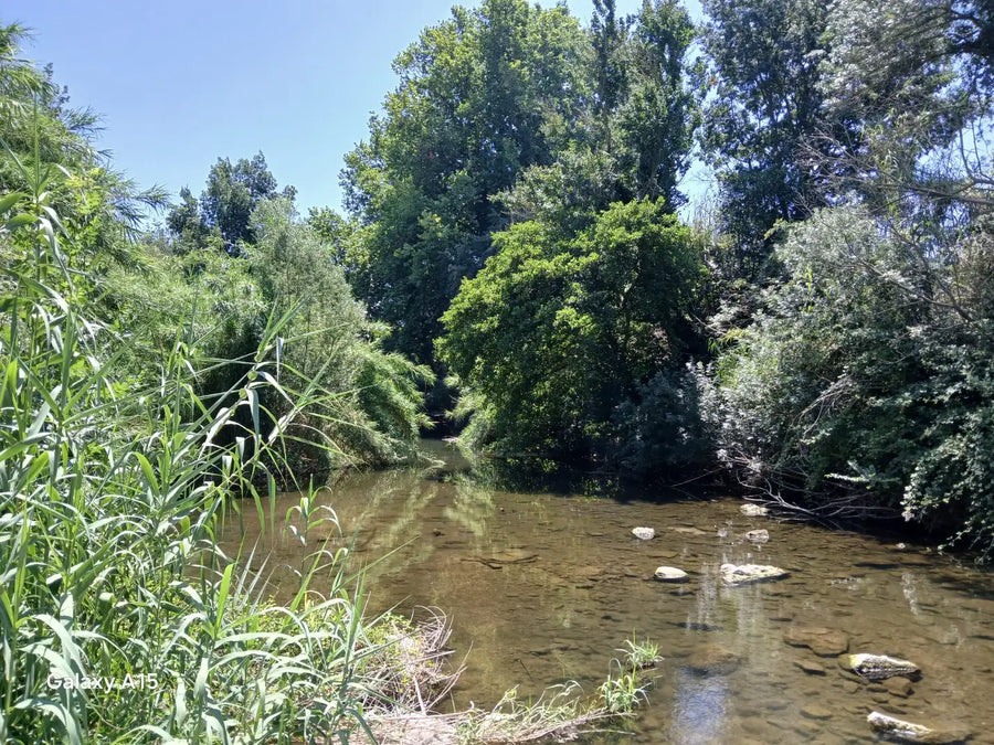 Imagen de la ruta