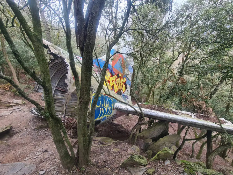 Imagen de la ruta