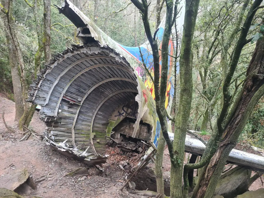 Imagen de la ruta