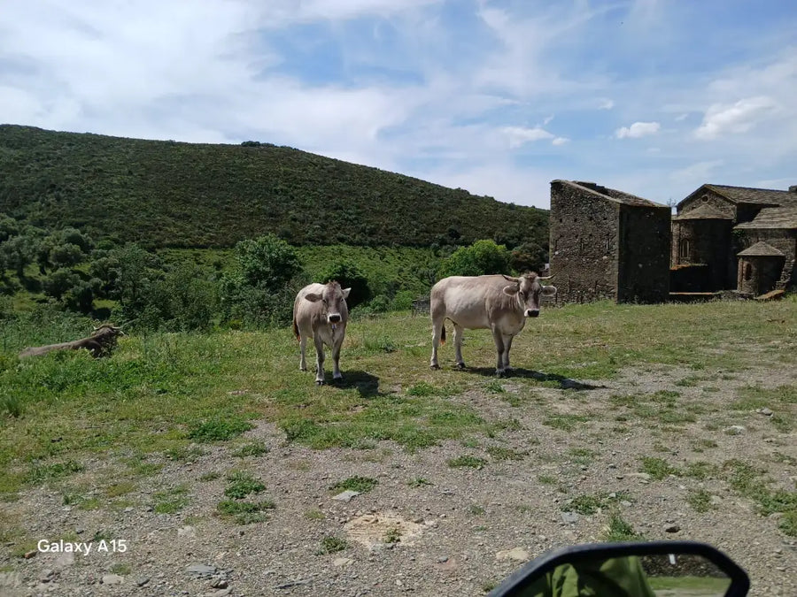 Imagen de la ruta