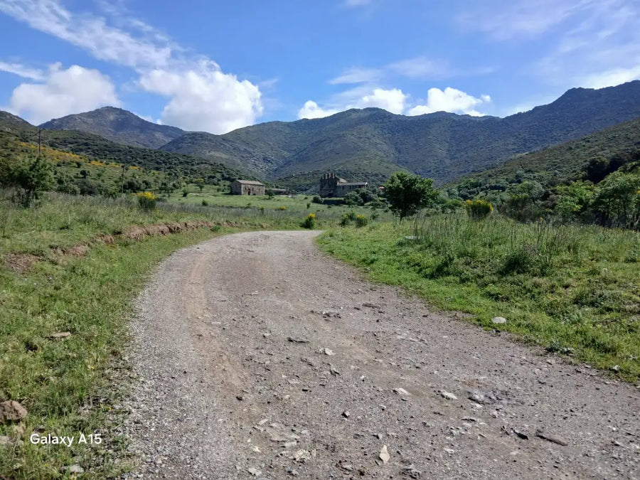 Imagen de la ruta