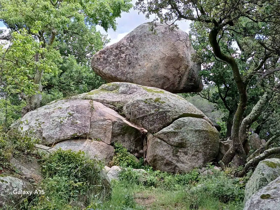 Imagen de la ruta