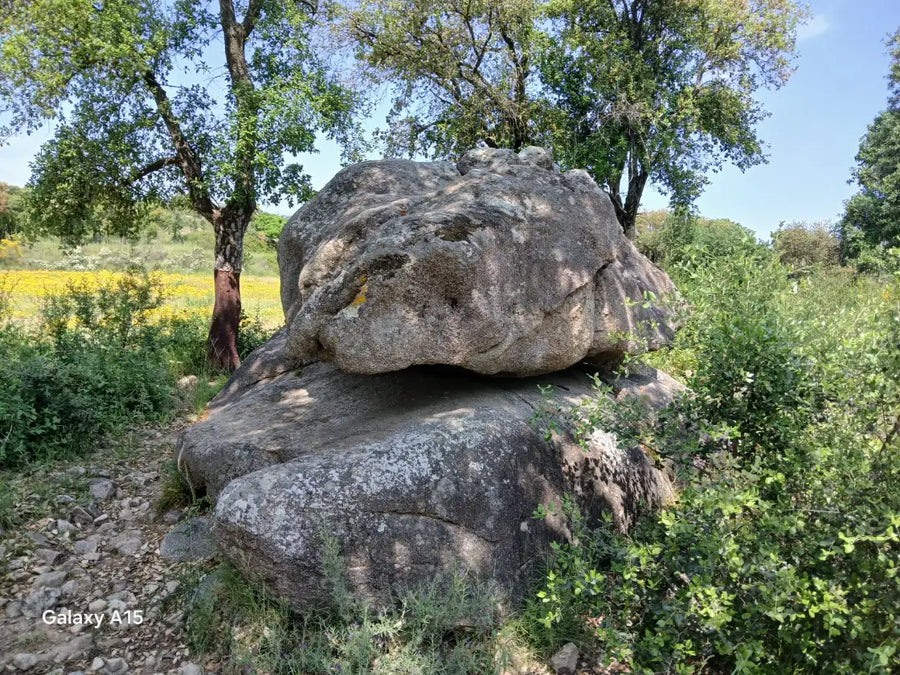 Imagen de la ruta