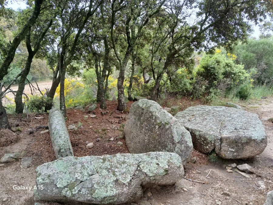 Imagen de la ruta