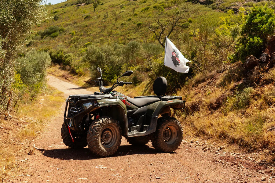 Imagen de la ruta